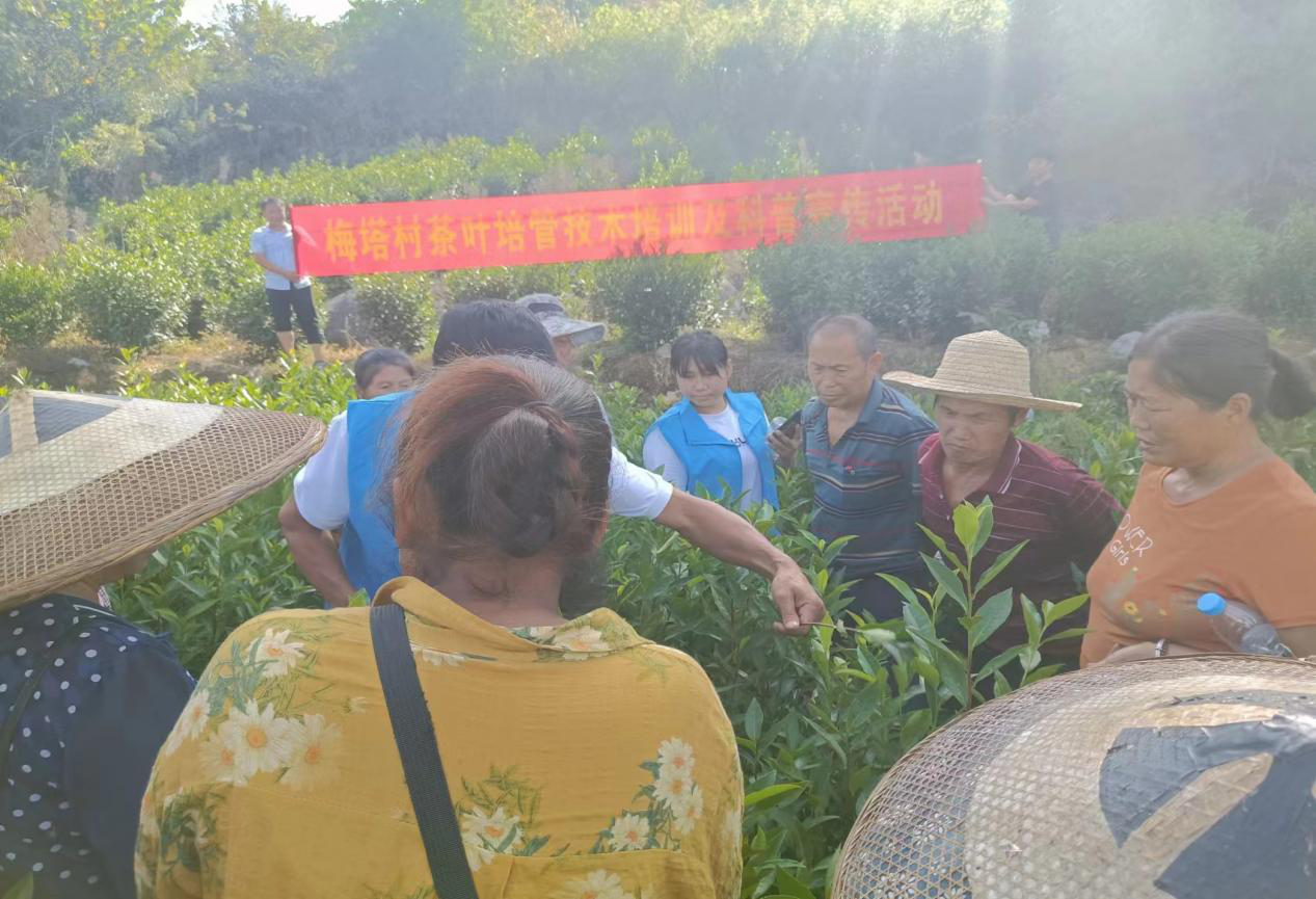 图片10.png