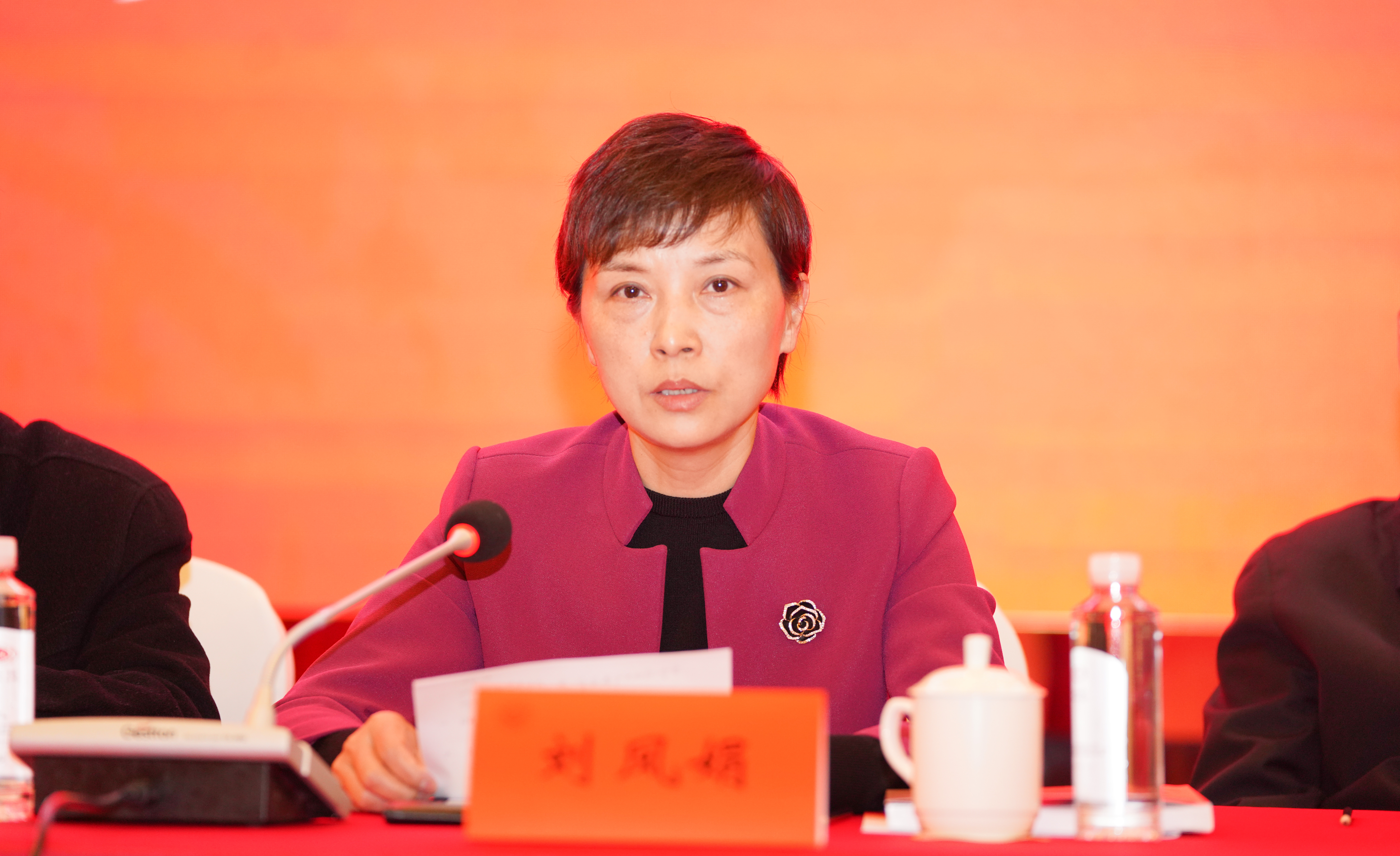 省地质院党组成员、副院长刘凤娟讲话.jpg