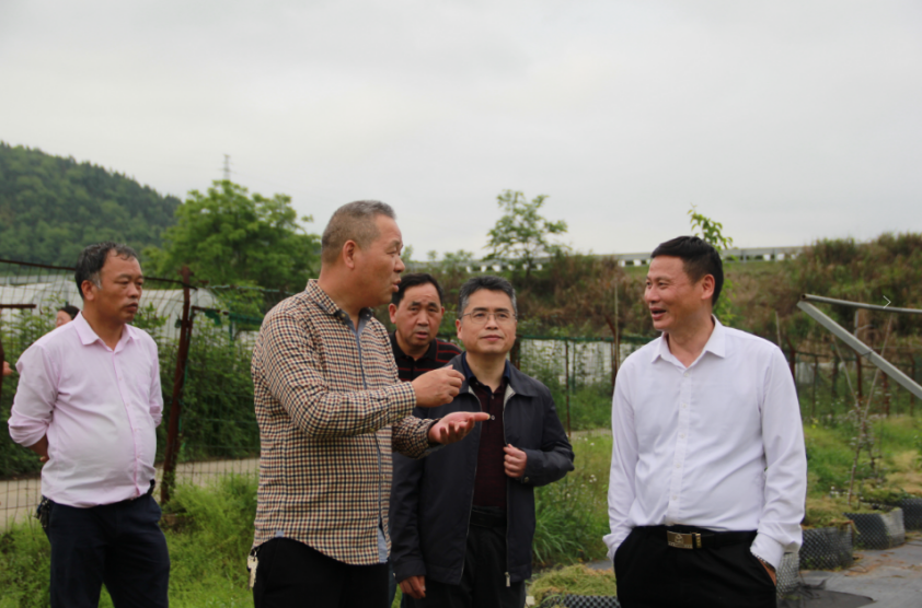 图片 1