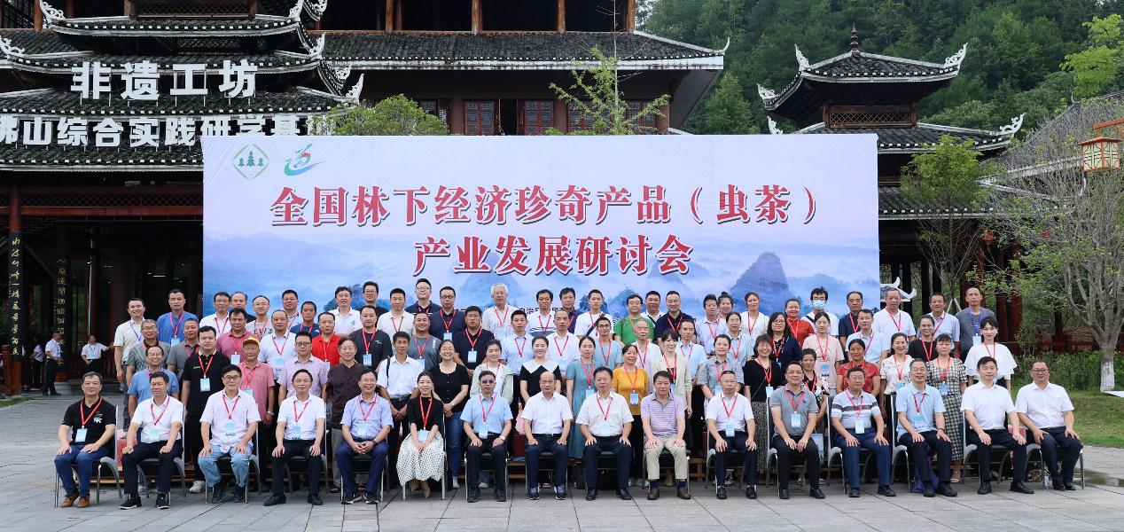图片 3