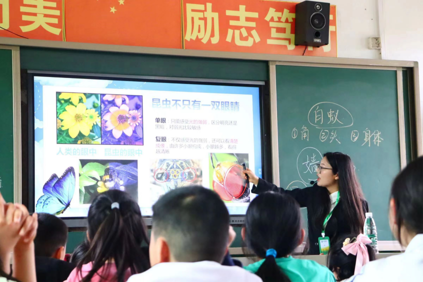 图片13.png